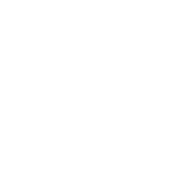 handyman